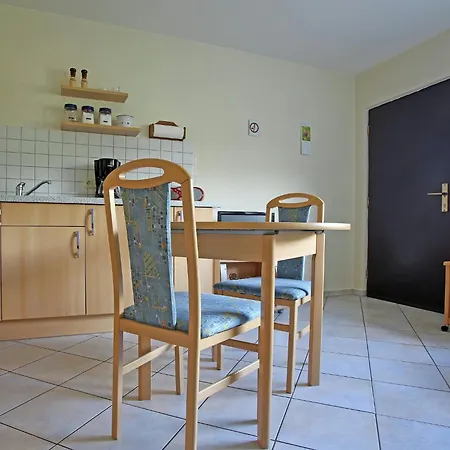 In Der Naehe Des Skigebietes In Appartamento *