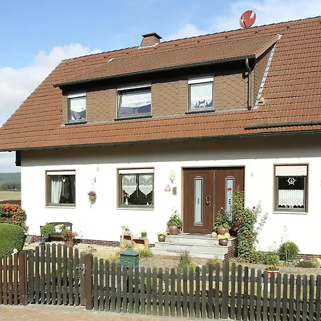 In Der Naehe Des Skigebietes In Appartamento *