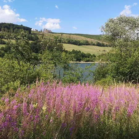 In Der Naehe Des Skigebietes In * Diemelsee
