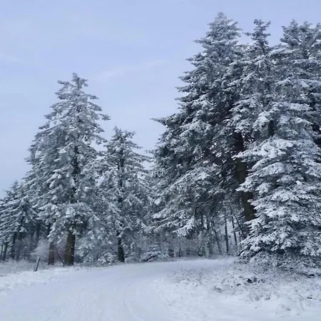 In Der Naehe Des Skigebietes In アパート