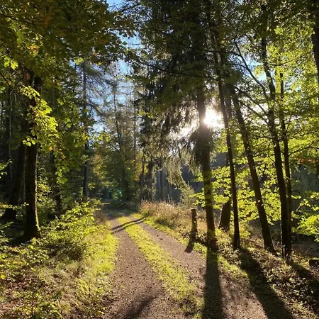 In Der Naehe Des Skigebietes In *