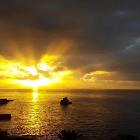 In Der Naehe Des Skigebietes In Appartamento *