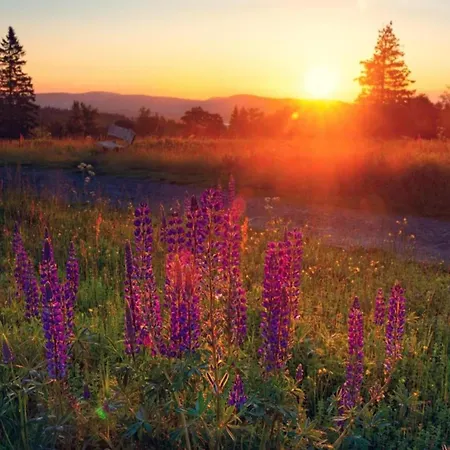 Appartamento In Der Naehe Des Skigebietes In Diemelsee