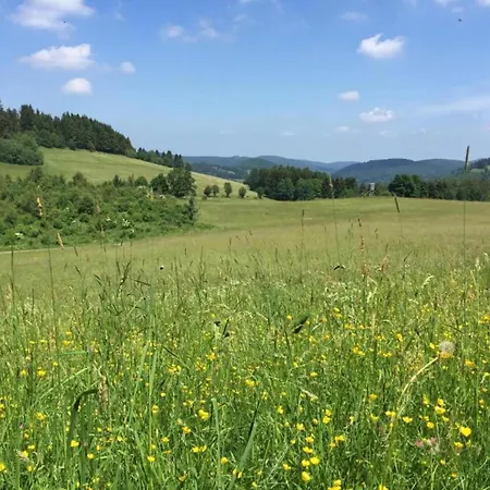 In Der Naehe Des Skigebietes In アパート