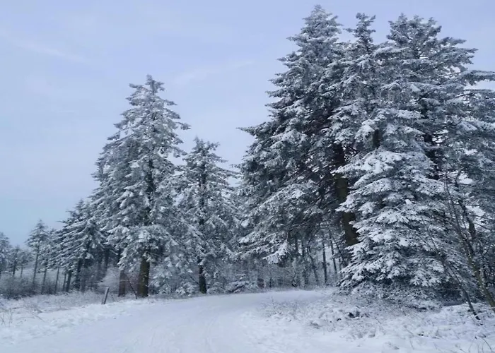 In Der Naehe Des Skigebietes In Lägenhet