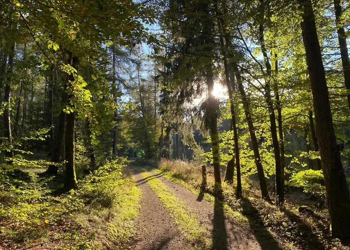 In Der Naehe Des Skigebietes In *