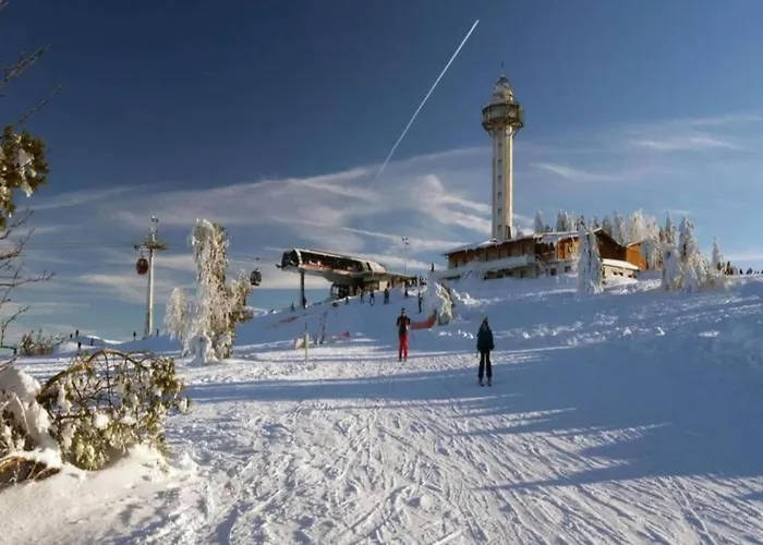 In Der Naehe Des Skigebietes In * Diemelsee