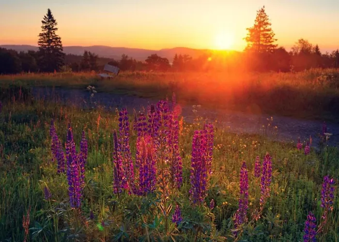 Lägenhet In Der Naehe Des Skigebietes In Diemelsee